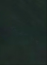immagine avatar