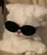 cyht