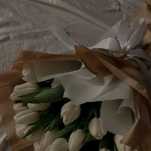 Guest_kate190436
