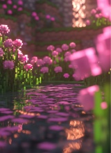 Guest_Sarah142380