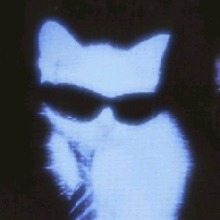 Guest_spamxxx