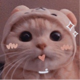 Guest_stonedkorsi