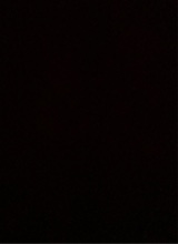 Guest_Isah625