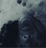 Guest_clouwnt