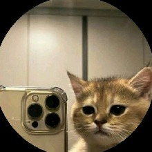 Guest_Cat4271
