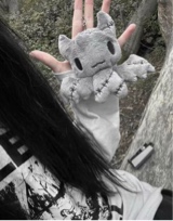 pukkaa