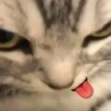 chxngita