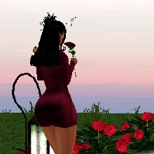 Guest_Denice40