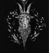 Guest_BrynnZephyrsia