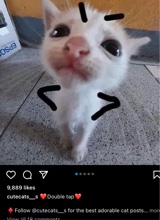 Guest_TEETHDISTORTION