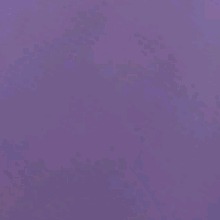Guest_ynwmelly478945