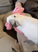 Guest_missnugget