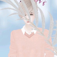 Guest_Chevalier3