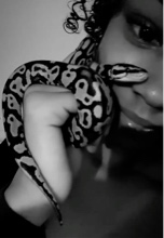 avatar picture
