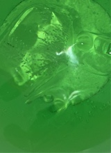 AlexTYTGang