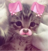 Guest_naomami5