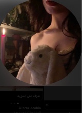 Guest_lvuic