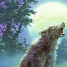 XavierMoonNight
