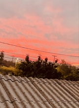Guest_MartinaVenegas1