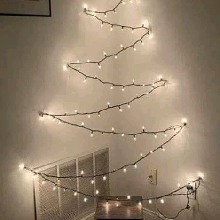 Guest_AlexandraLopes1