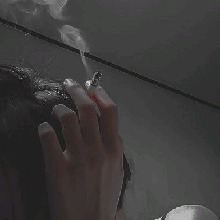 Guest_xZNoah
