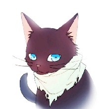 Guest_Yato666