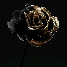 Guest_Lea3588