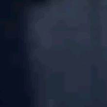 Guest_Kevinboss5