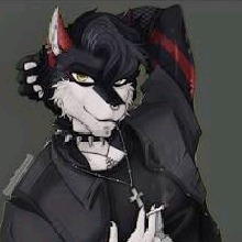 Avatar Bild