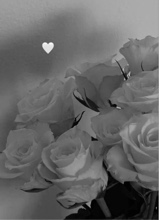 Guest_Allyloo2