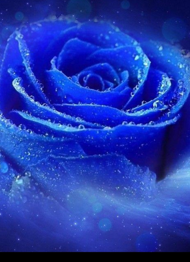 Guest_Aliannagem