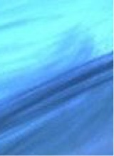 Guest_Gosser2