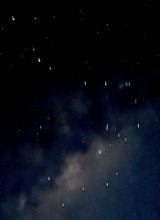 Guest_XxdocinhoxXx3