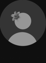 Guest_xoxobella12