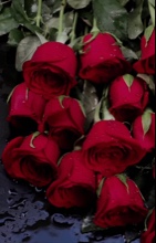 Guest_Shubh15