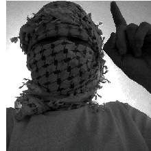 Guest_newas