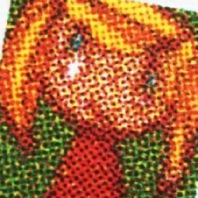 PollyPockety