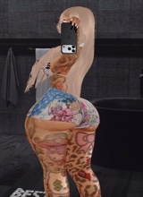 Guest_Nia894260