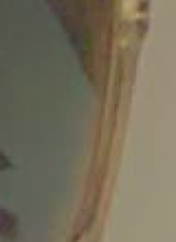 Guest_NastyNati1