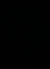 Guest_P4L0M4