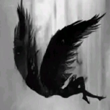 morgueangel