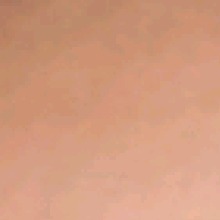 Guest_VanessaAlmeida4