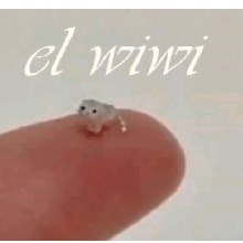 Guest_XxLukaKcyxX