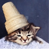 immagine avatar