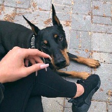 Guest_Melaniexbn