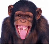 صورة الـavatar