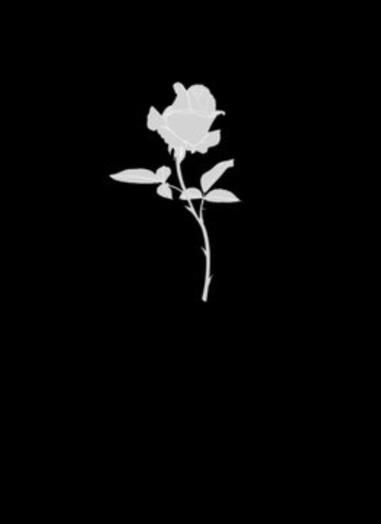 Guest_TheBoat1