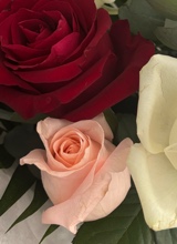 Guest_LylyLyly1