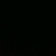 Guest_Bianca19033
