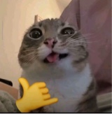 Deema